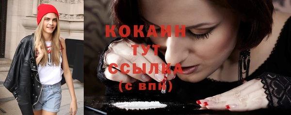 сатива Белокуриха