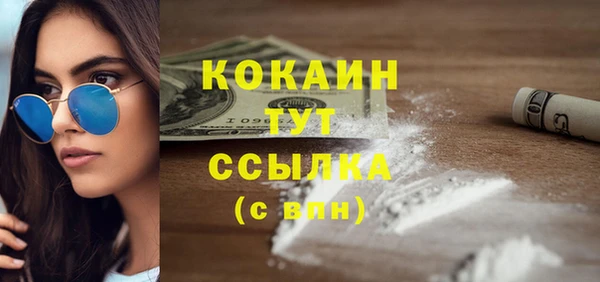 сатива Белокуриха