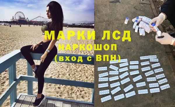 сатива Белокуриха