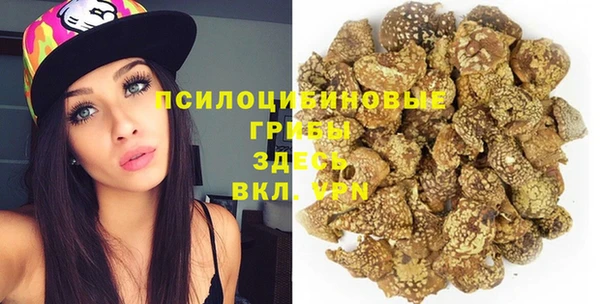 сатива Белокуриха