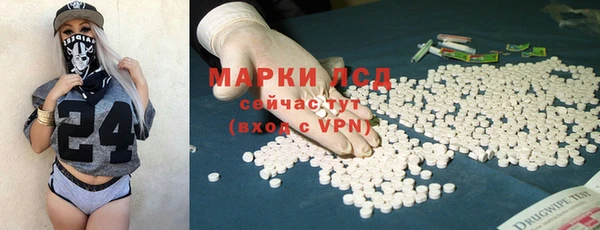 сатива Белокуриха