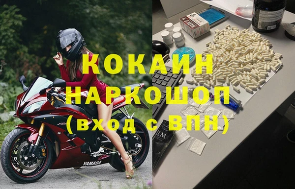 сатива Белокуриха