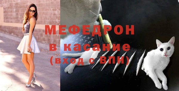 сатива Белокуриха